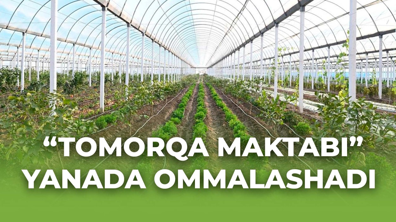 “Tomorqa maktabi” yanada ommalashadi