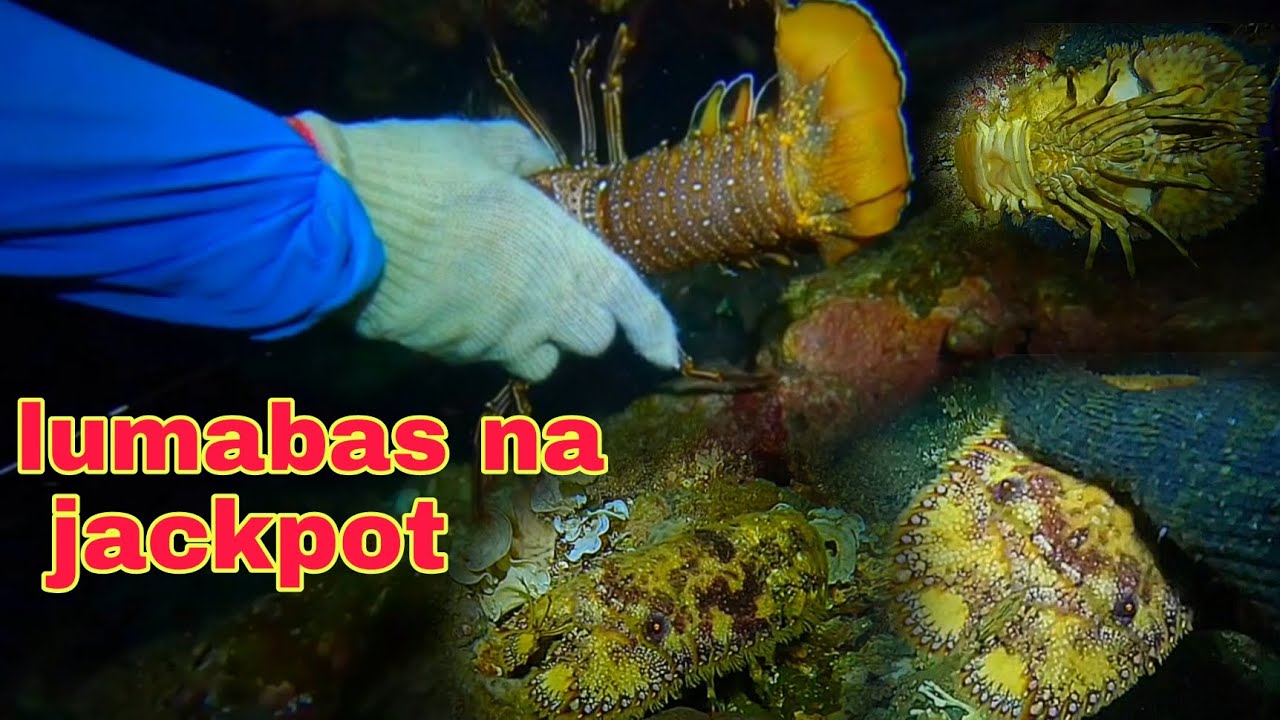 ep514 dive2 banagan at kupapa lumabas na jackpot night spearfishing Philippines