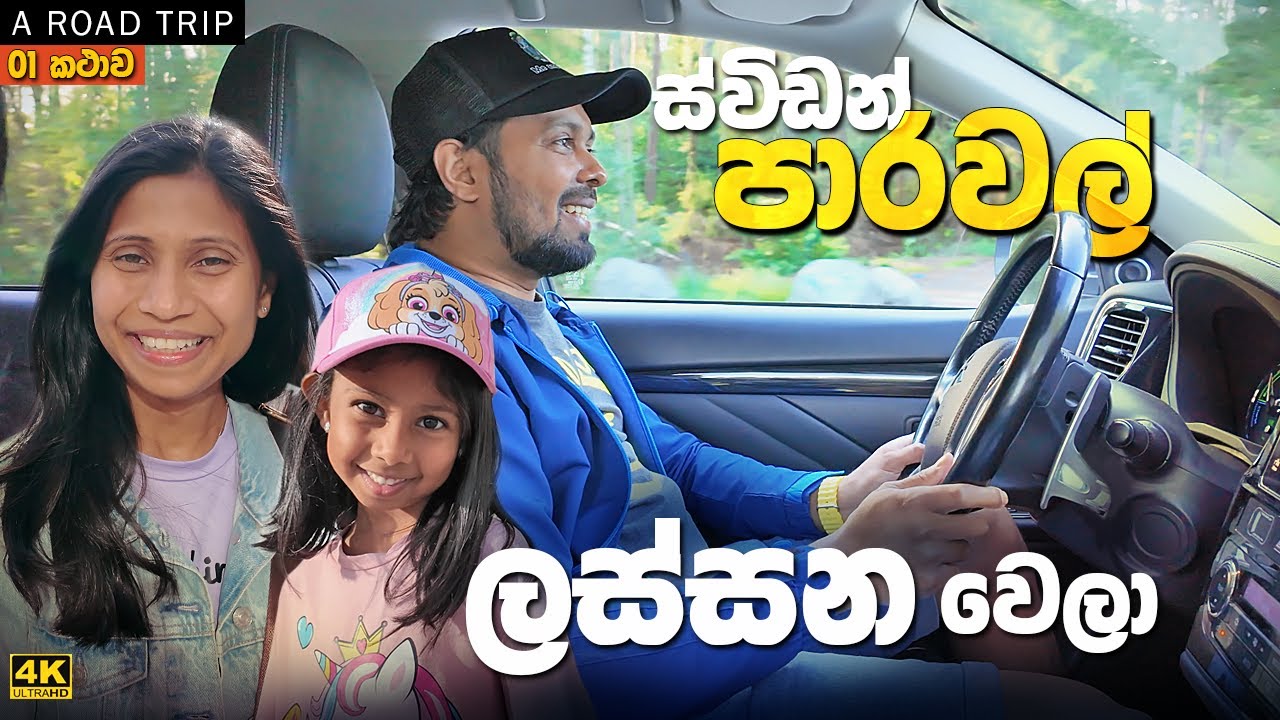 Summer එකට ලස්සන වුන Sweden පාරවල් දිගේ road trip එක