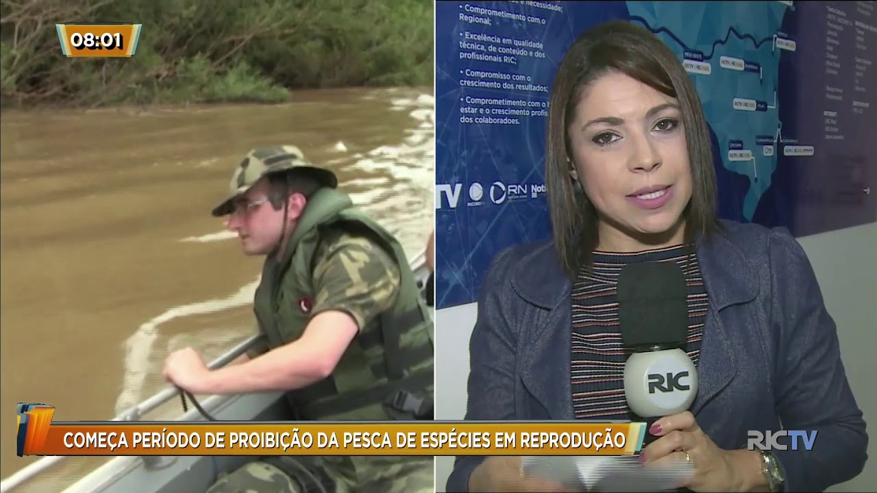 Come&ccedil;a per&iacute;odo de proibi&ccedil;&atilde;o da pesca de esp&eacute;cies em reprodu&ccedil;&atilde;o em SC