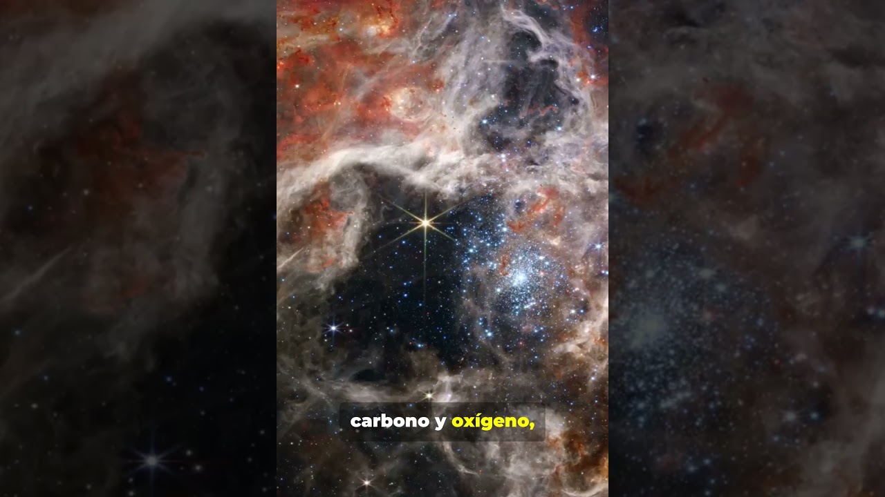 ☠️ Enanas blancas El silencioso final de las estrellas 🌌 星