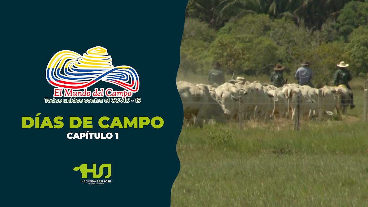 Primer Día de Campo  | Hacienda San José | El Mundo Del Campo