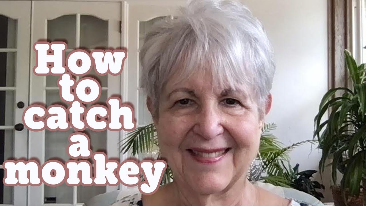How to Catch a Monkey