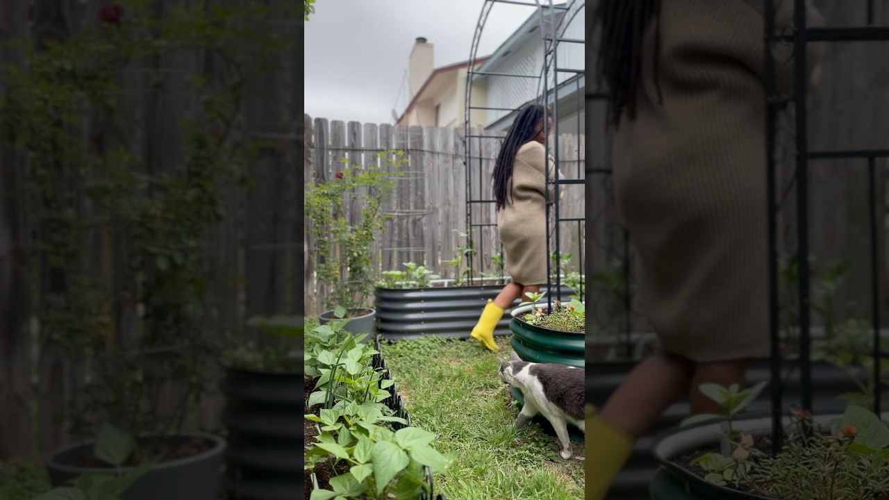What slow intentional living looks like for to me&hellip;🌿🌸🫶🏾☁️#slowliving #gardening #raisedbedgarden