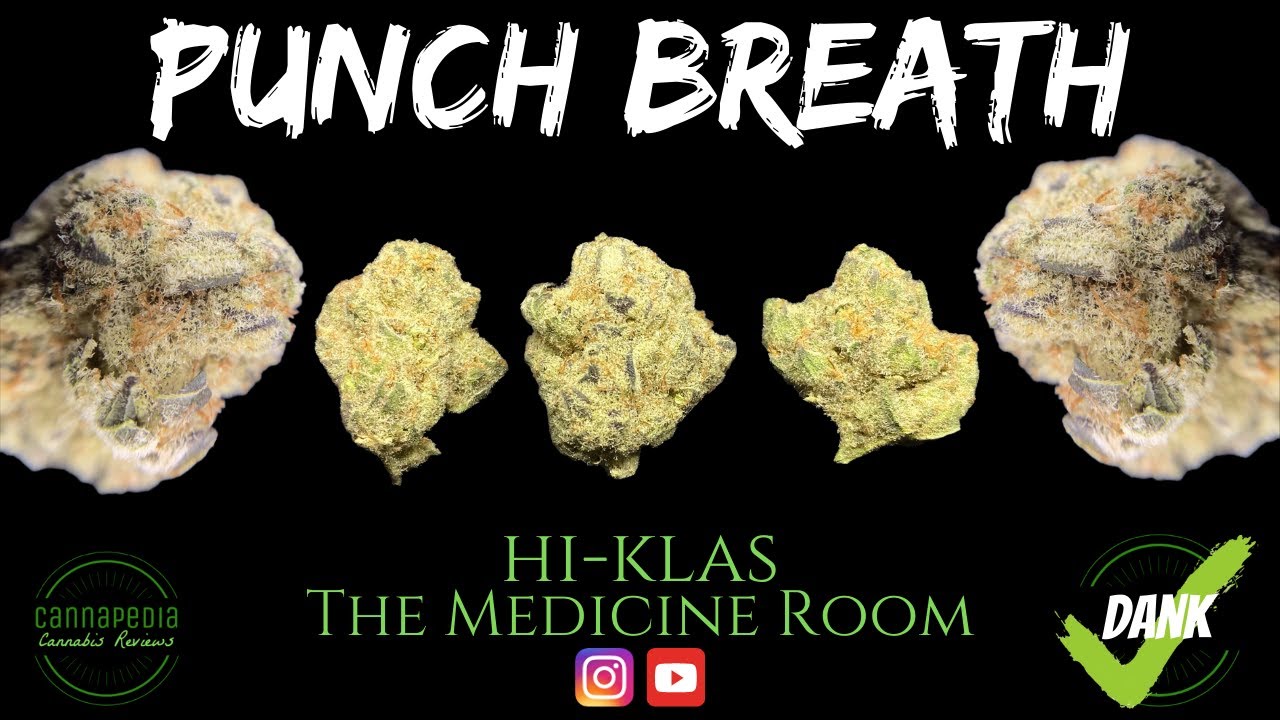 Punch Breath Strain Review - Hi-Klas - The Medicine Room - Cannapedia