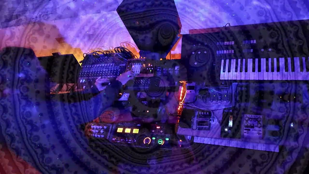 Hypno Toad House |  Play, Wavestate, Edge, Zen Delay, Retroverb...