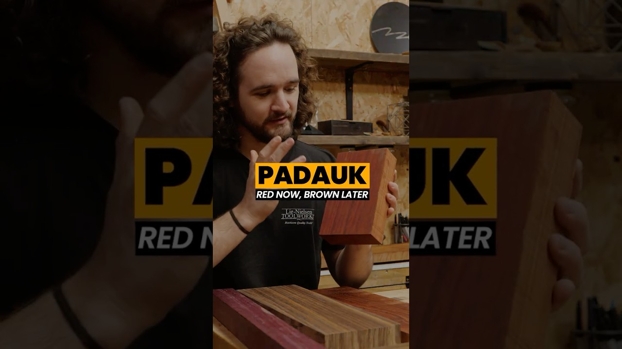 Padauk | Drewno tygodnia