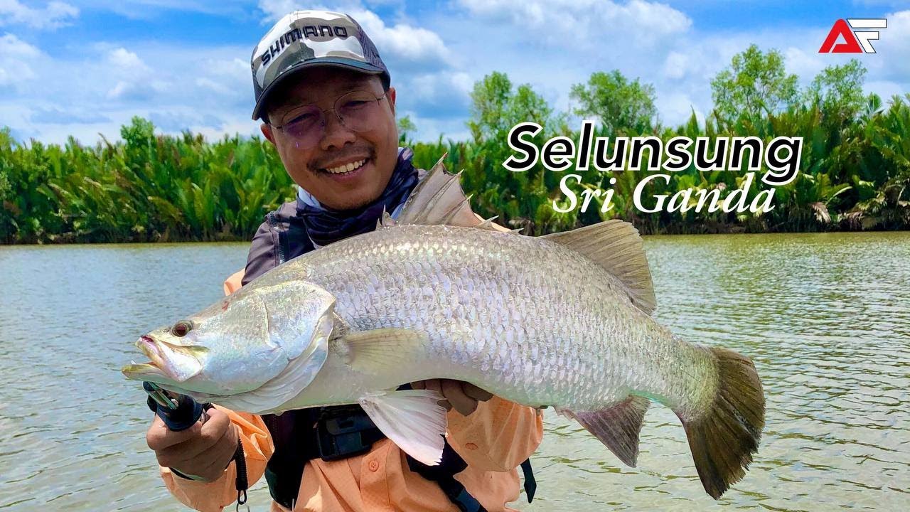 Siakap di Lubuk Black Bass | Kemunculan Kertang Lewat Petang | Pengembaraan Sri Ganda [ Part 1]