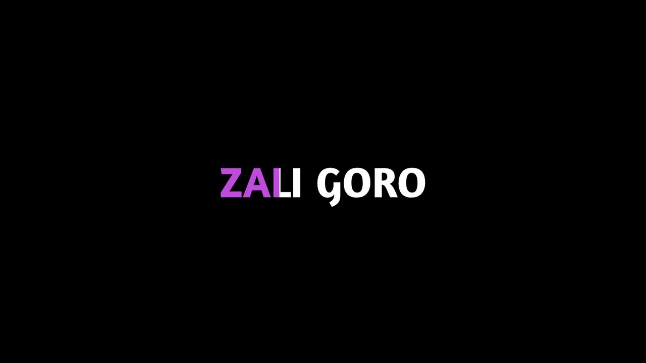 ZAJDI ZAJDI KARAOKE