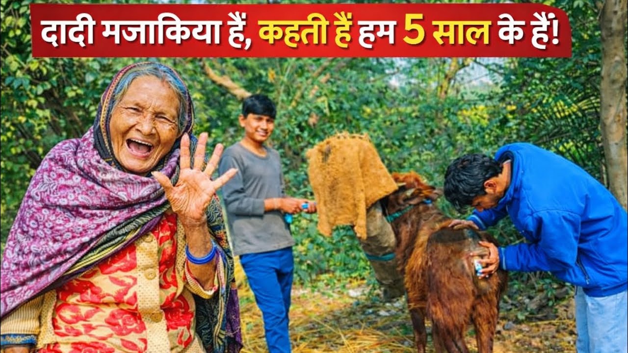 मजाकिया दादी की बाते😂😂 | Barabanki Vets | दादी नानी 