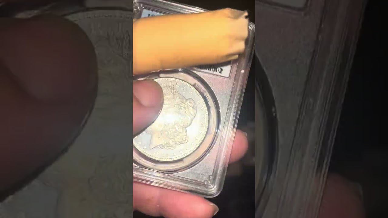 1884 Proof Like Morgan’s PCGS VS NGC #CoinCollectors #RareCoins #PCGS #NGC 
