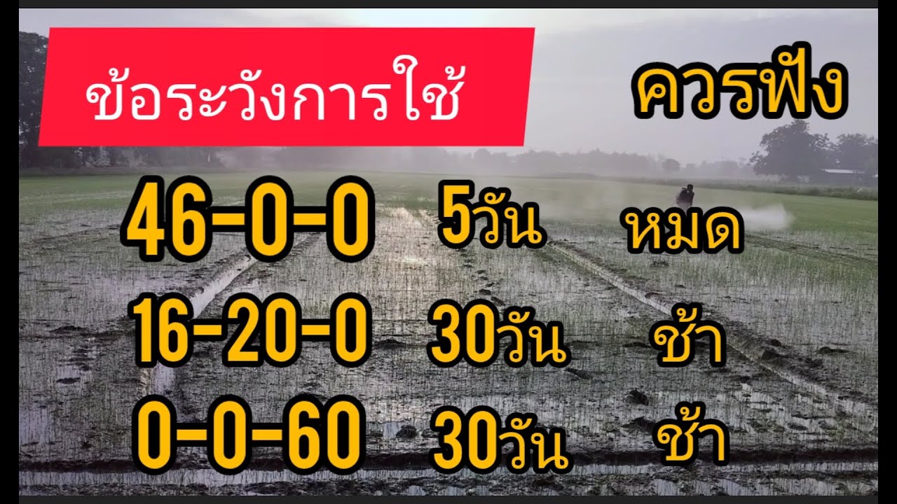 ปุ๋ย46-0-0ข้อระวังในการใช้ตัวเดียว