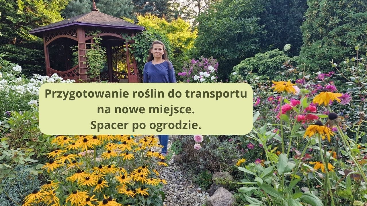  Przeprowadzka roślin  na nowe miejsce. Co transportuję.
