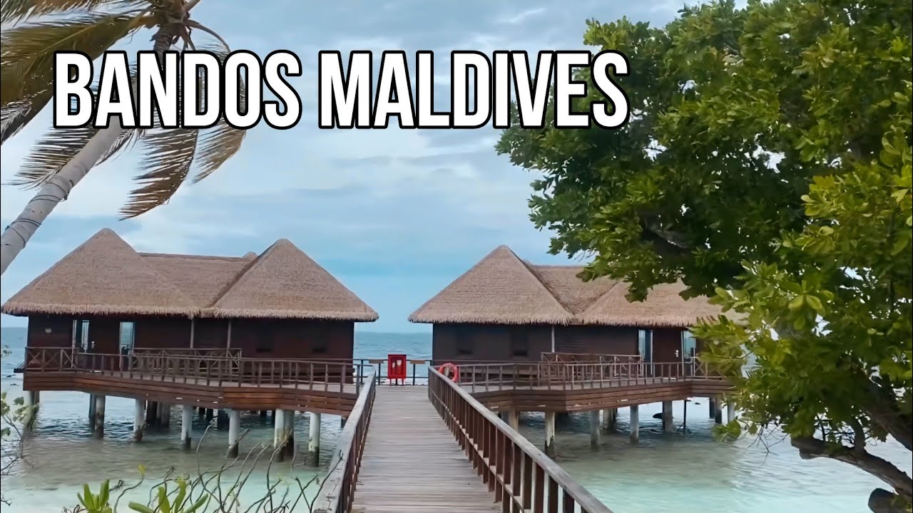 Классические Мальдивы: Что Вас Ждёт в Bandos Maldives?