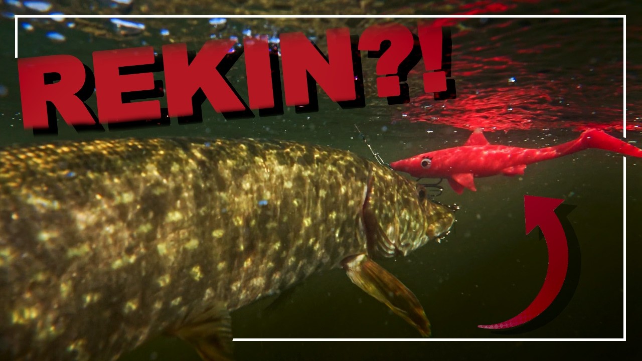 ŁOWIĘ SZCZUPAKI na NAJDZIWNIEJSZE PRZYNĘTY