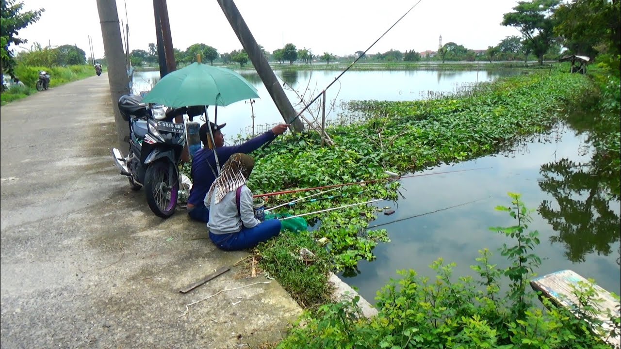 Gak kira-kira rezekinya pemancing suami istri ini mancing satu tempat panen ikan besar-besar