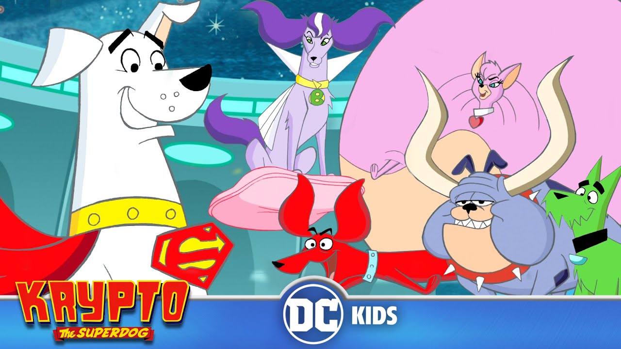 Krypto The Superdog | Let's Meet The Dog Star Patrol | @dckids