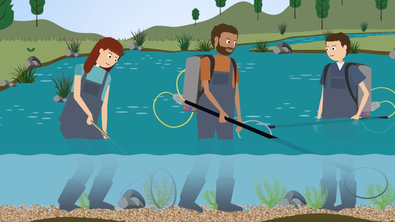 Environmental DNA - Precision Biomonitoring