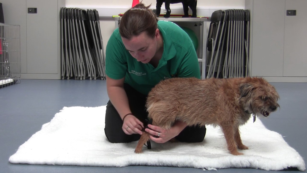 Demonstration of KRUUSE Rehab Hock Protection