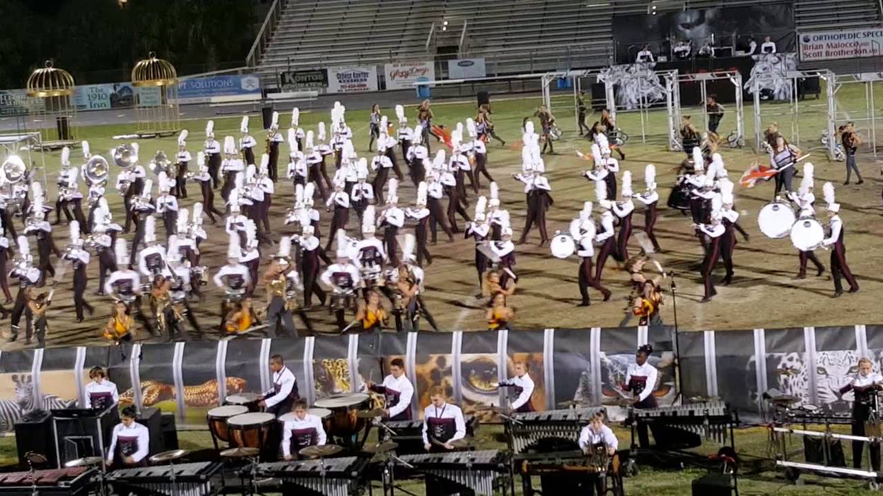 2015 Tarpon Springs  Caged
