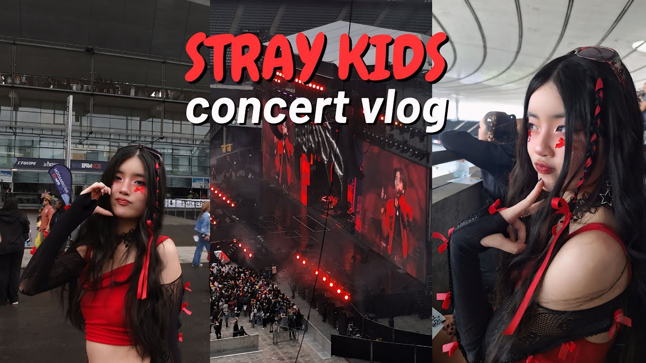 STRAY KIDS dominATE PARIS CONCERT VLOG