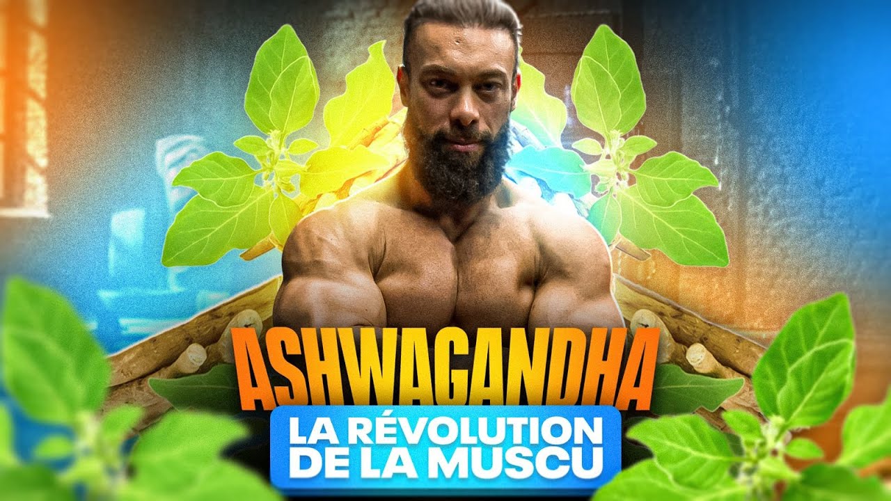 ASHWAGANDHA : MIRACLE OU ARNAQUE ? LA SCIENCE RÉVÈLE LA VÉRITÉ SUR CE COMPLÉMENT