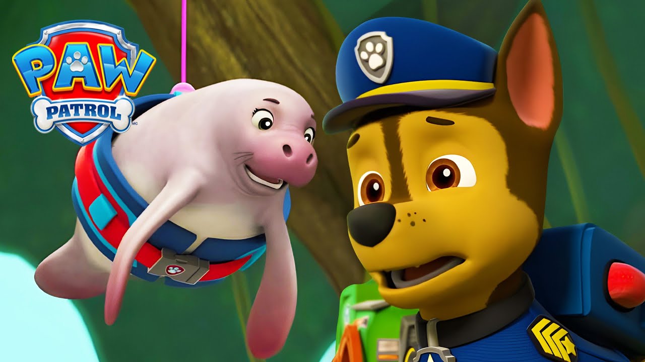 Chase a jeho záchrana lamantinů! 🐋- Tlapková Patrola PAW Patrol - pohádky pro děti