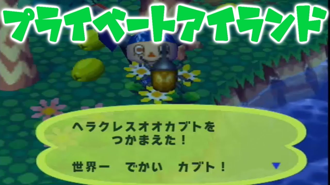 【どうぶつの森e+】世界一大きい！ヘラクレスオオカブトを捕まえた！【PART12】