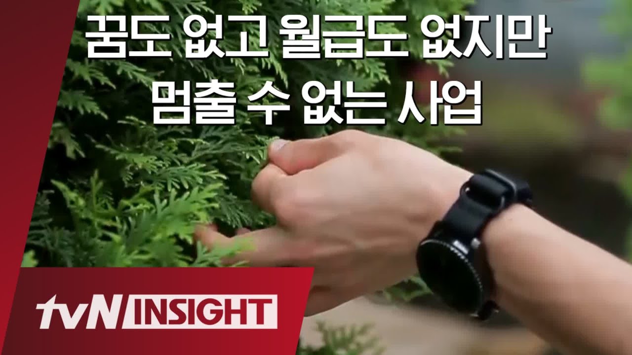 꿈도 없고 월급도 없는 대표가 사업을 계속하는 이유 |tvN 인사이트|tvN 190930 방송