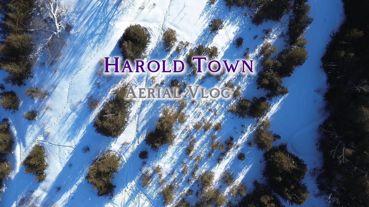 Aerial vlog-Harold Town Conservation-Peterborough