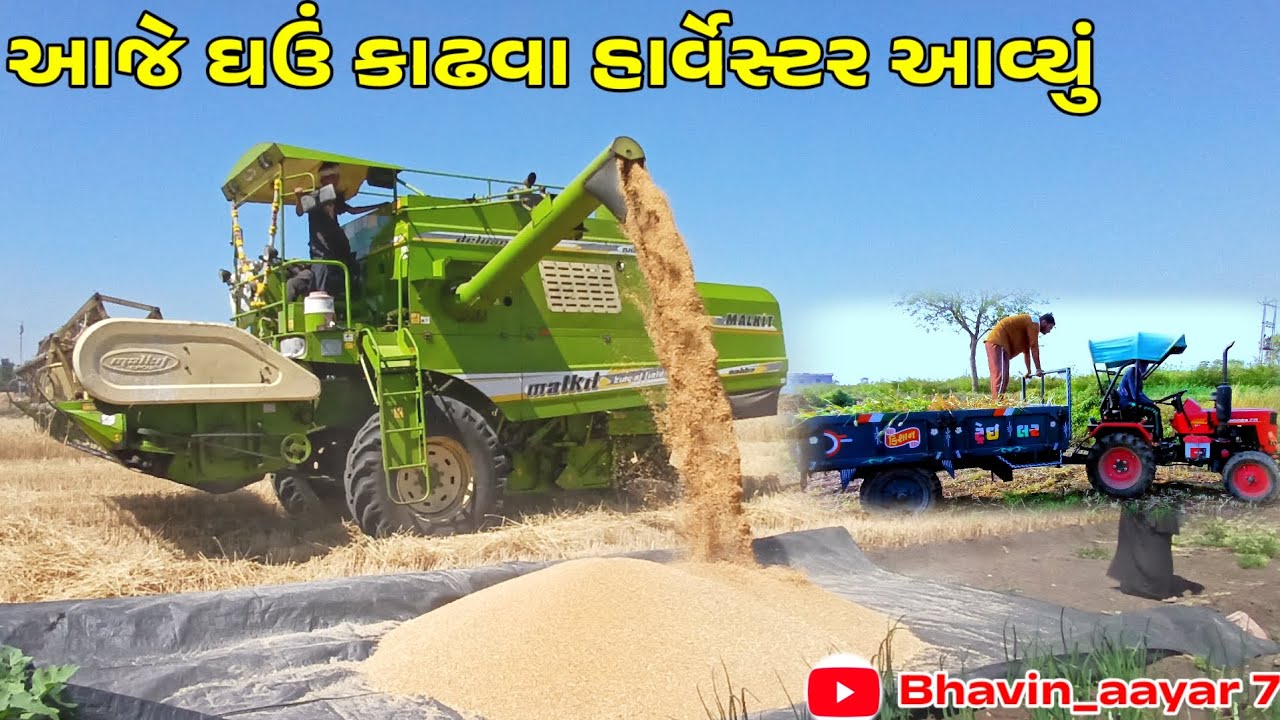 આજે ઘઉં કાઢવા હાર્વેસ્ટર આવ્યું જુઓ કેવી રીતે હાર્વેસ્ટર ઘઉં કાઢે છે | Modern Farming ♥️ 