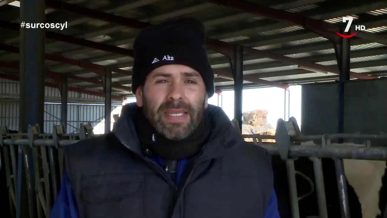 Filomena también amenazó al campo de Castilla y León con nieve y muy bajas temperaturas