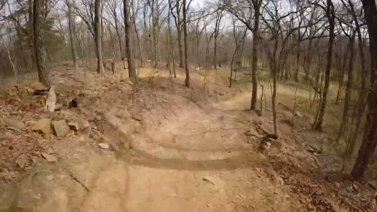 Took a trip to Turkey Mountain in Tulsa OK. 