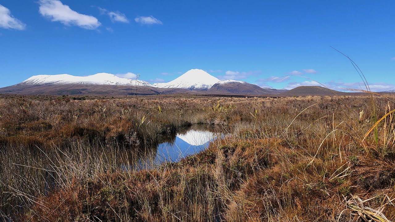 Roadtrip Archive 223 - Te Ranga to Lake Taupo, Tongariro, Ruapehu - New Zealand - Driving Timelapse