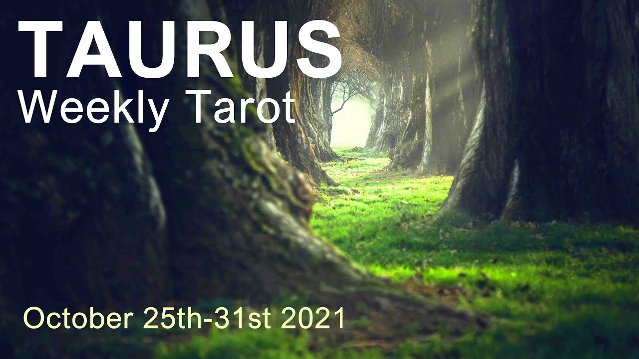 TAURUS WEEKLY TAROT READING 