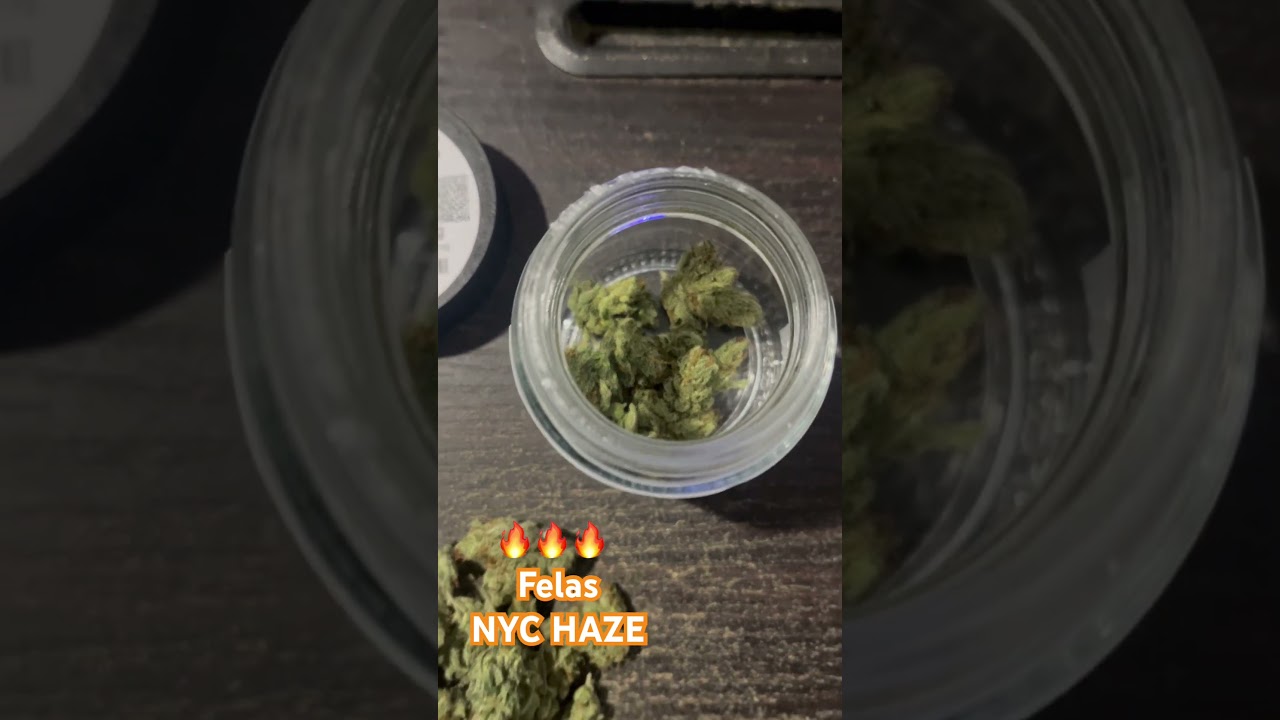 Felas - NYC Haze .. Strain Review