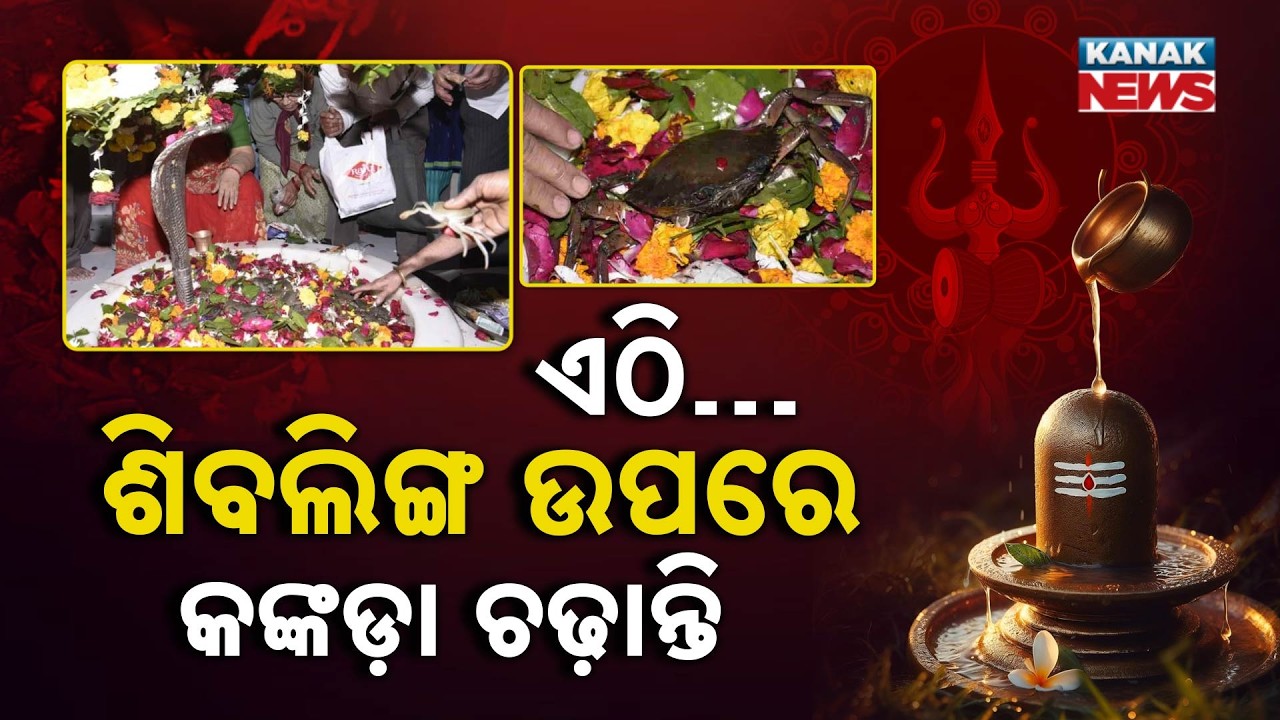 Special Report: Runthanath Mahadev Temple: Unique Crab Offering Ritual in Gujarat