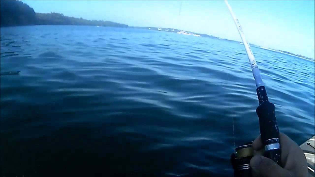 sortie rade de brest