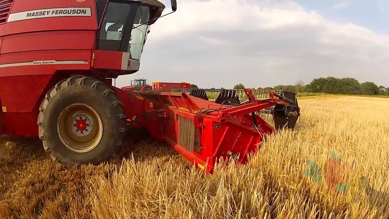 Ride On Board Combine Harvester (Massey Ferguson 40 RS) - GoPro POV