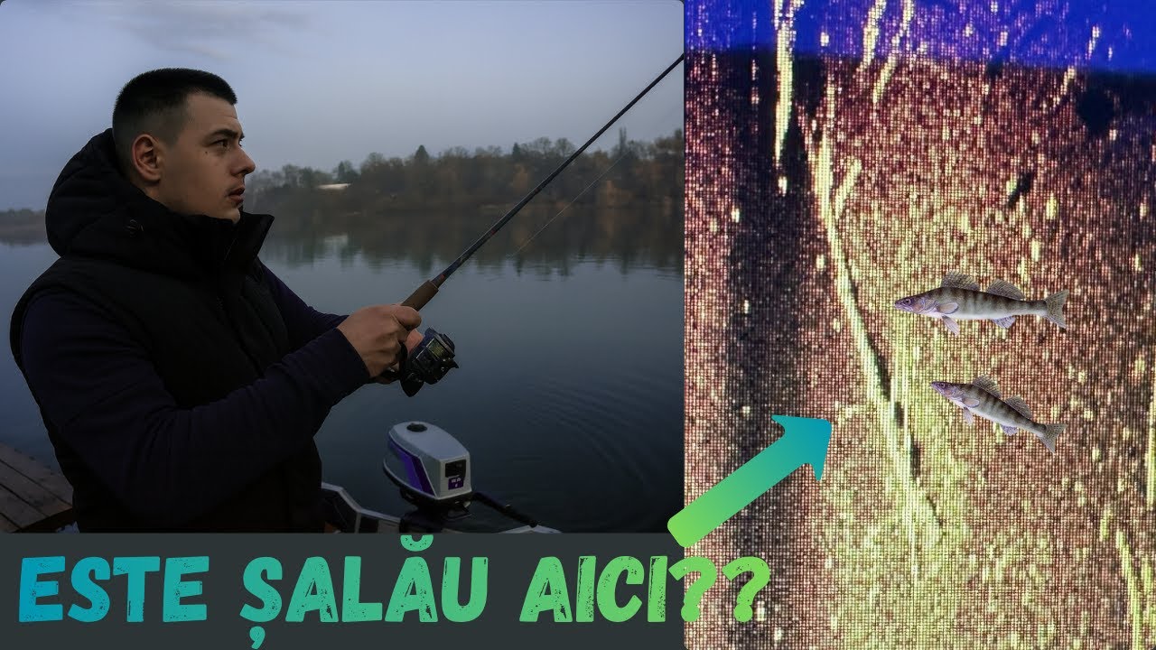 Caut șalăul pe sonar – unde se ascunde?