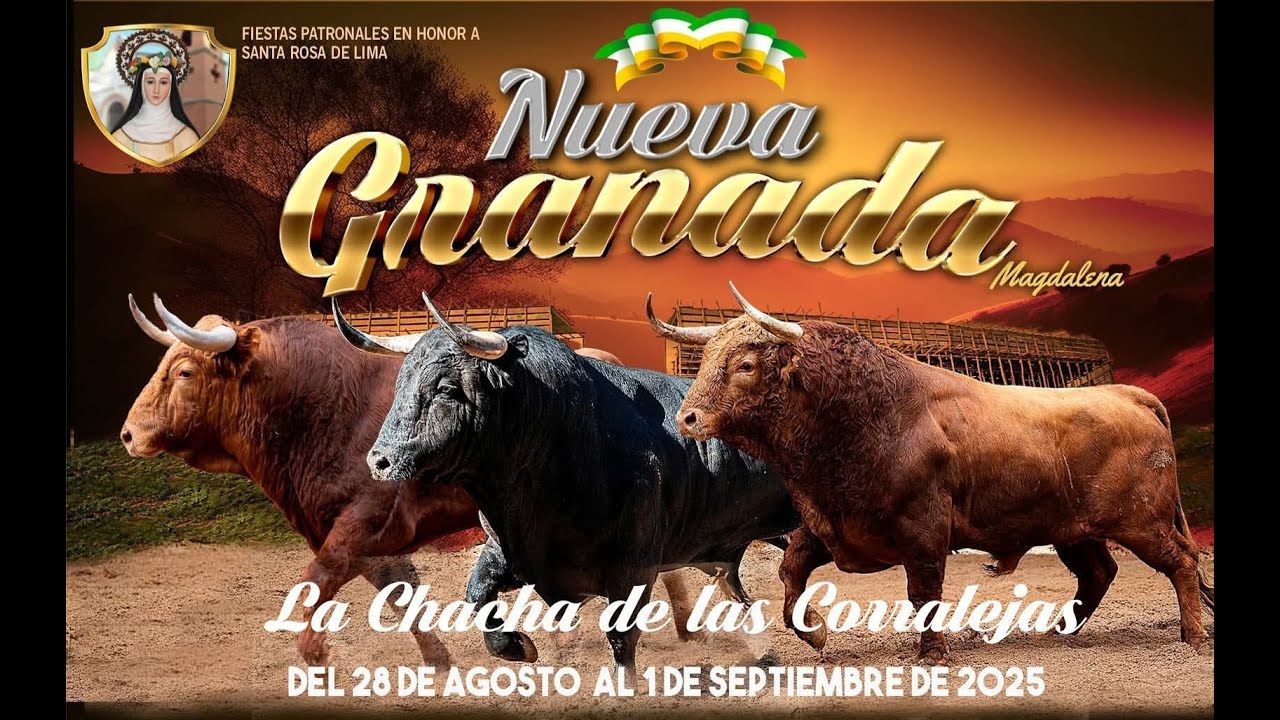 Segunda tarde de toro en NUEVA GRANADA #colombia #corraleja #torosbravos