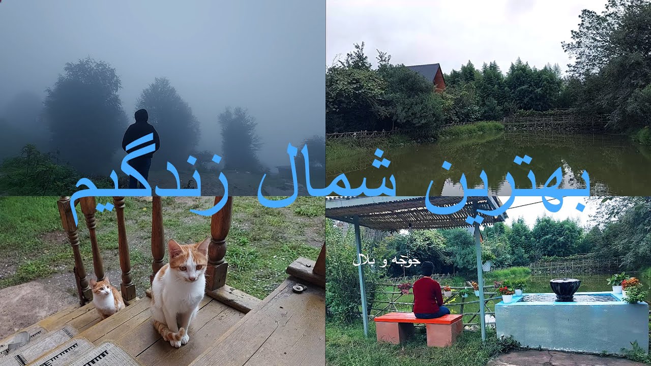 سفر به شمال دیگه چی میخوام از زندگی