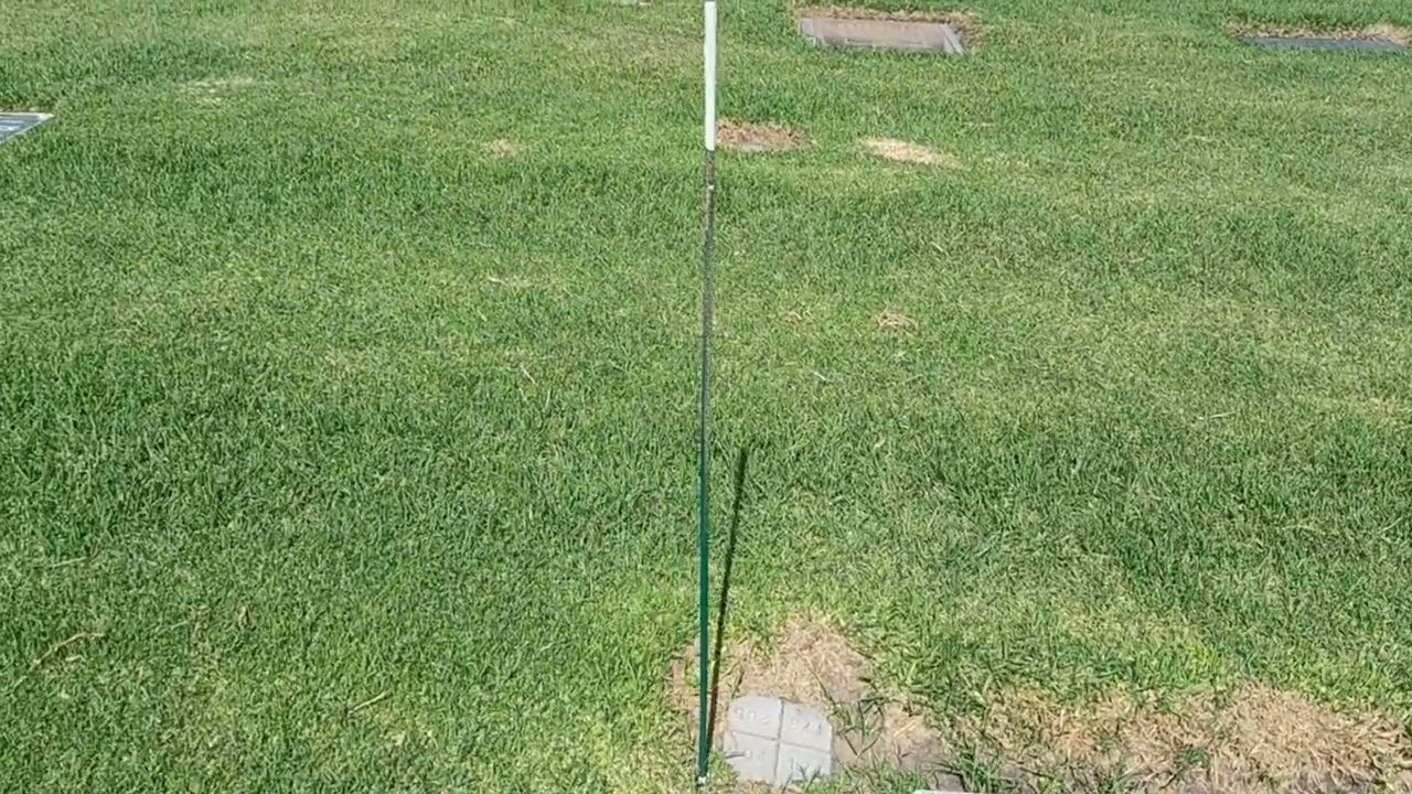 Grave of actor and sportscaster Dick Lane