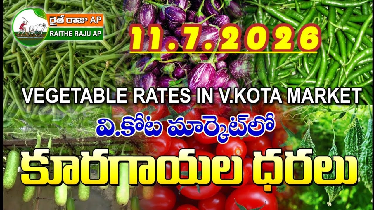 #AMC V.KOTA TODAY BEANS PRICE IN MARKET #ALL VEGETABLE PRICES #marigold 
