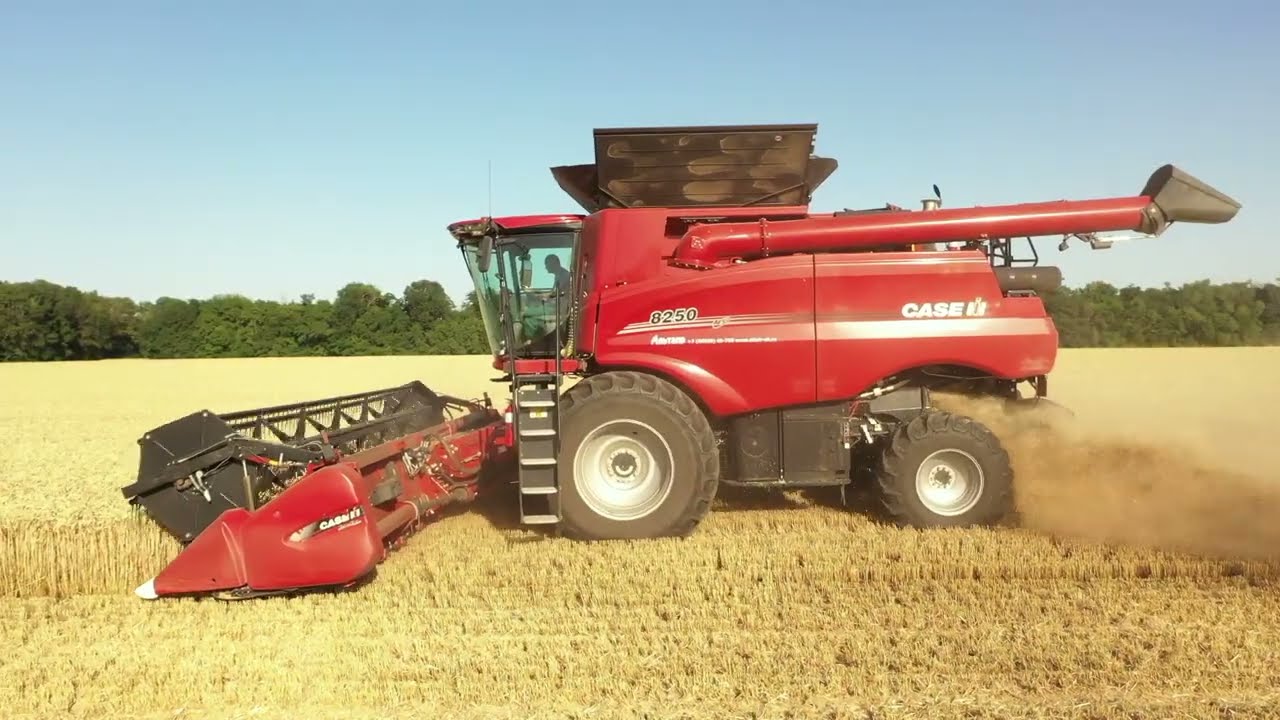 Начало уборки озимой пшеницы  2022 год