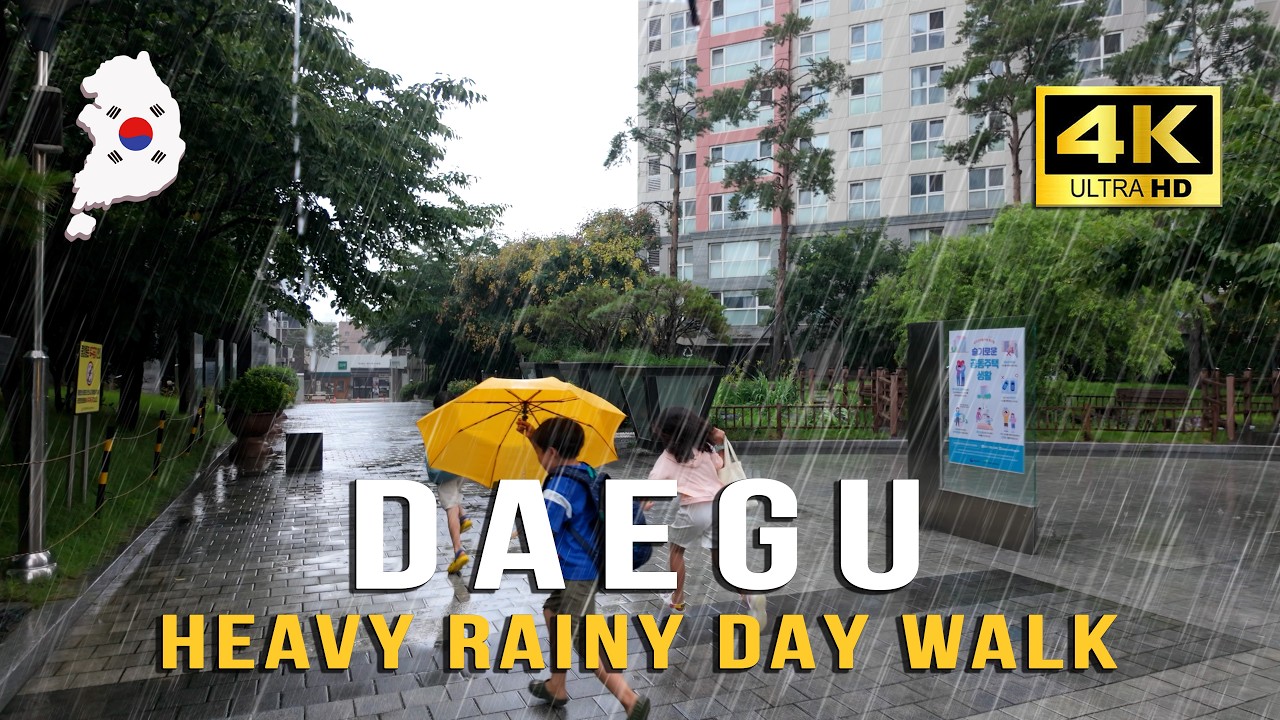 Let The Sound of Rain Wash Your Stress Away | A Healing Walk in Korea