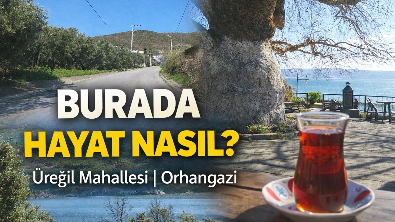 Üreğil Mahallesi’nde Sakin Bir Gün | Orhangazi #ÜreğilMahallesi #Orhangazi #BursaKırsalı