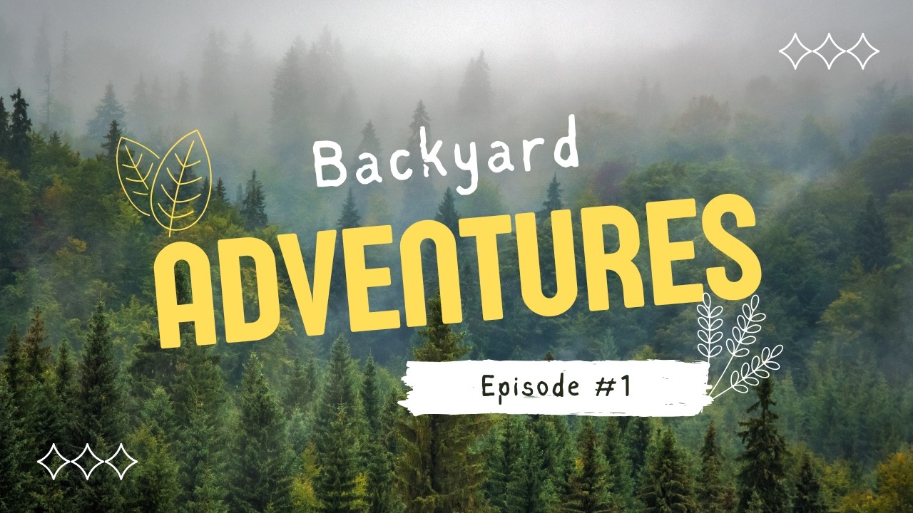 Backyard Adventures Episode #1 - Forts, Bears, Rivers & Fun! #adventure #backyard #kids #fun