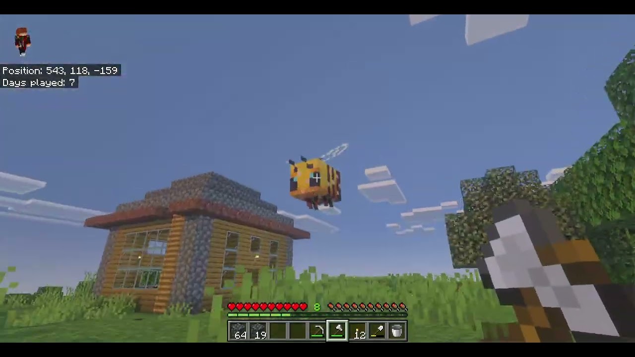 playing in my minecraft world episode 3