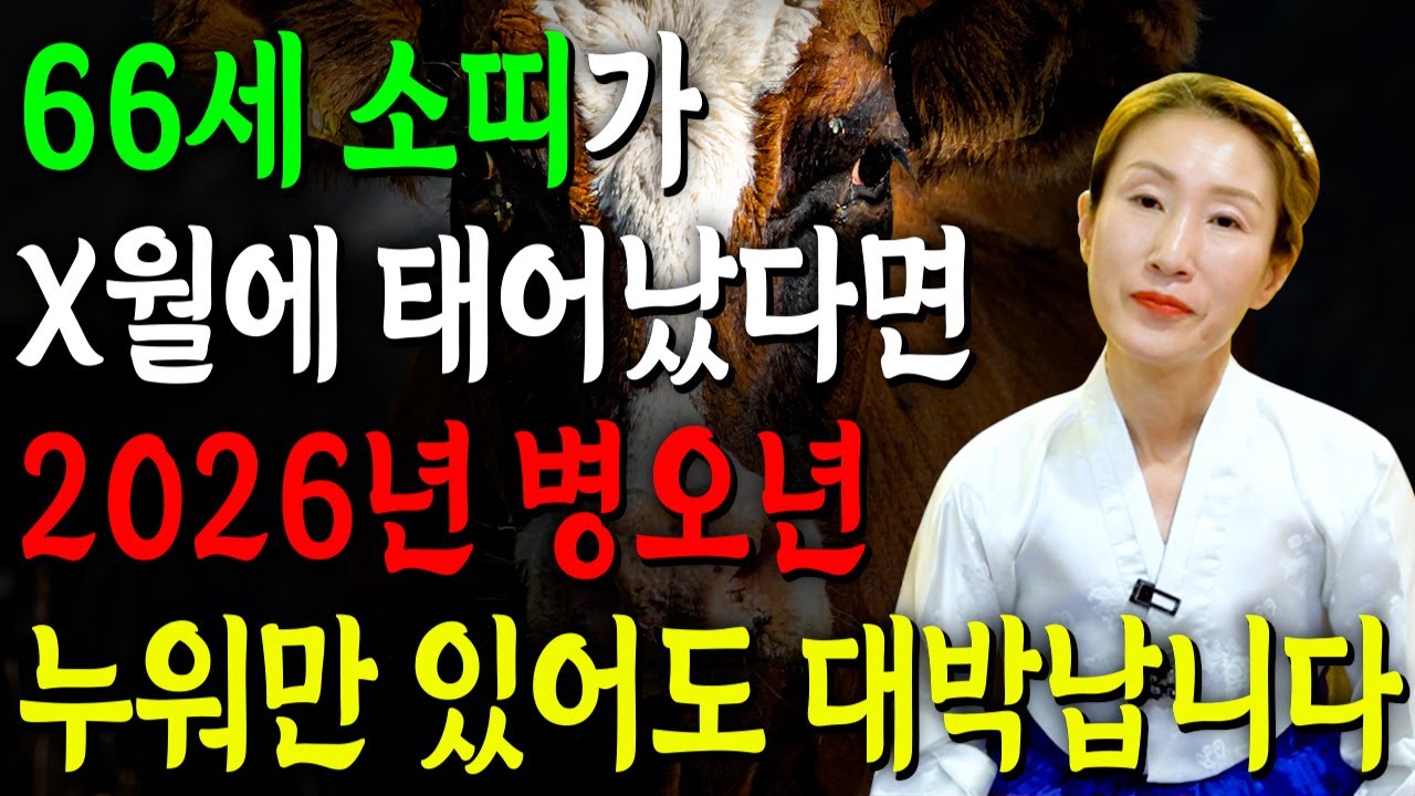 [2026년 66세 소띠운세] 1961년생 소띠가 X월에 태어났다면 2026년에 100% 대박납니다! 금전,귀인,문서운 모두 펑펑 터진다!! 1961년생 66세 소띠 운세